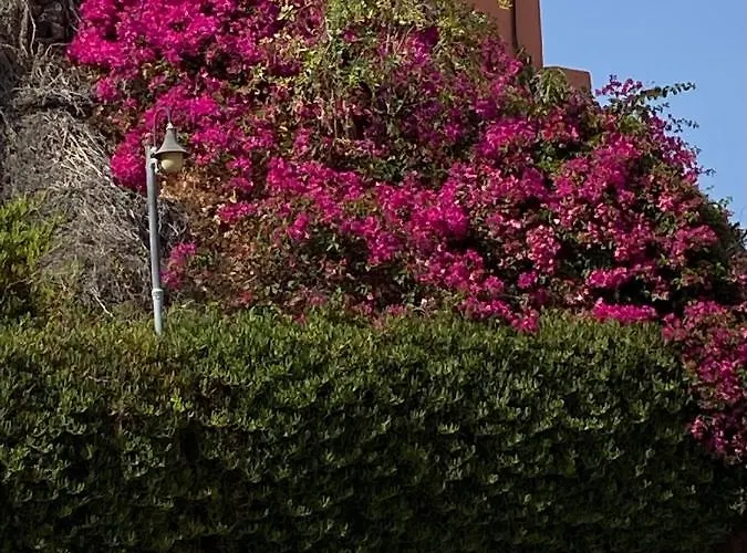 Besonderes Mit Einzigartigem Meerblick * Costa Calma